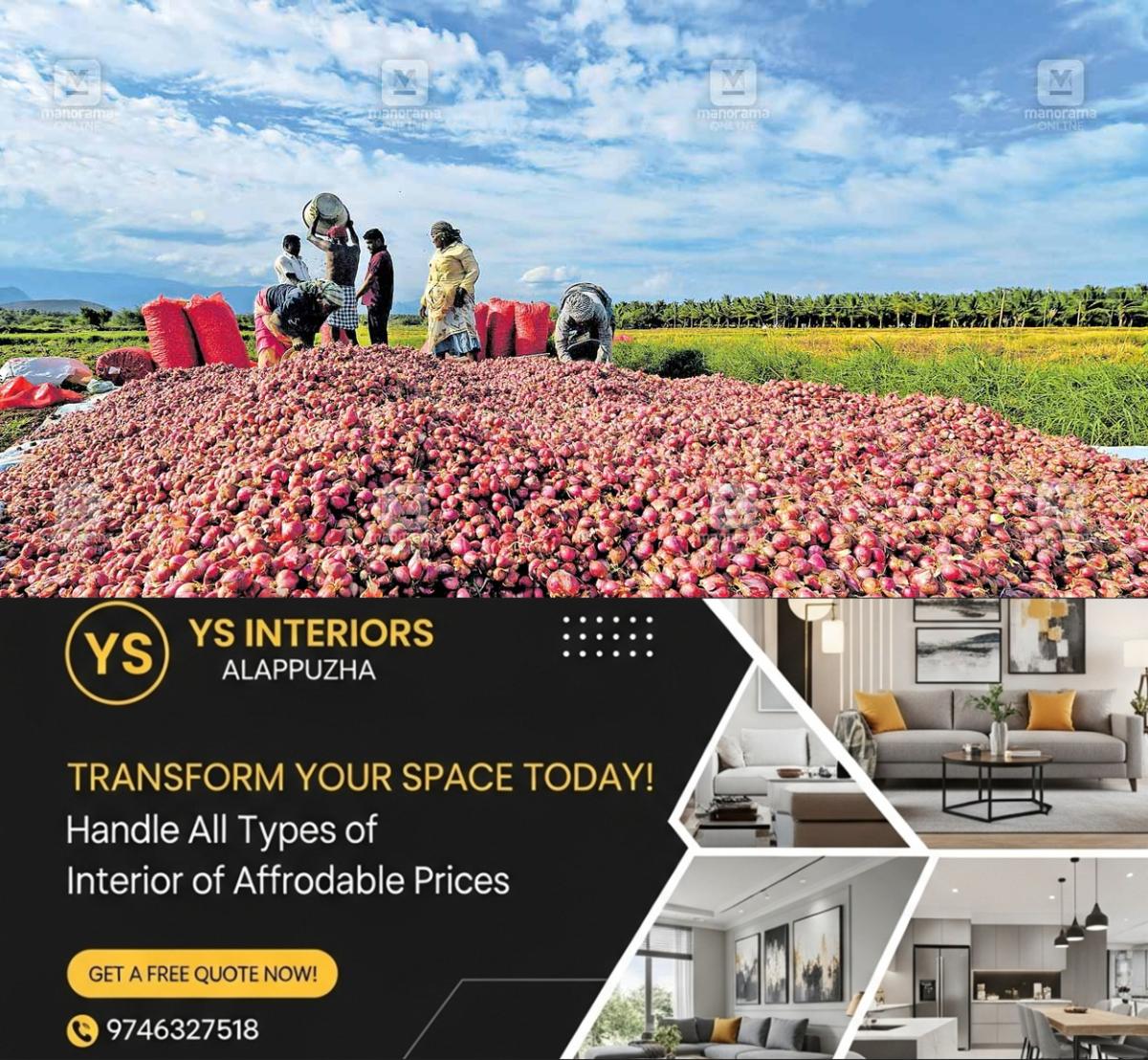 newskerala.net_1787456107_onion