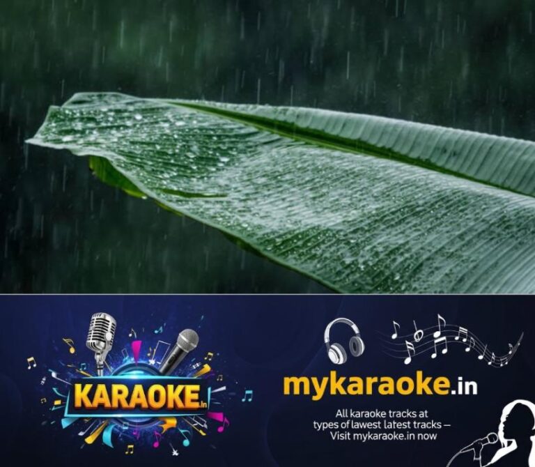 newskerala.net_1787611564_kerala-rain-alert