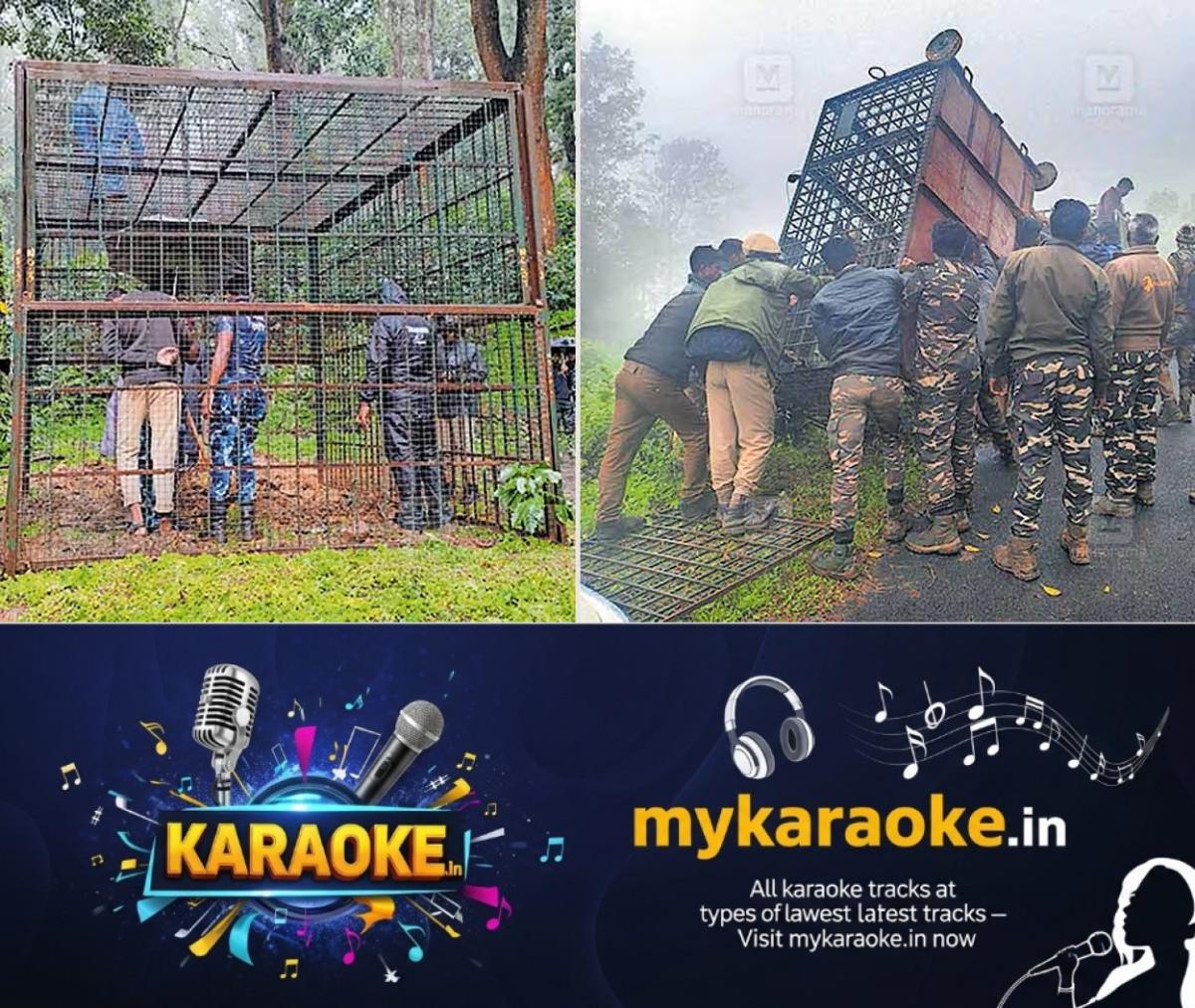 newskerala.net_1787642766_tiger-hunt-gudalur-weather-delays
