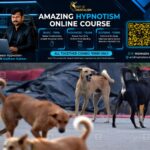 newskerala.net_1787887510_Stray-dog-fight