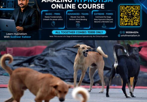 newskerala.net_1787887510_Stray-dog-fight