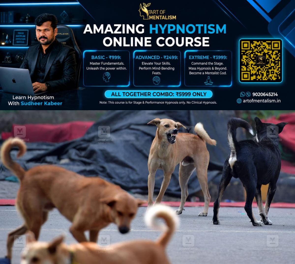 newskerala.net_1787887510_Stray-dog-fight