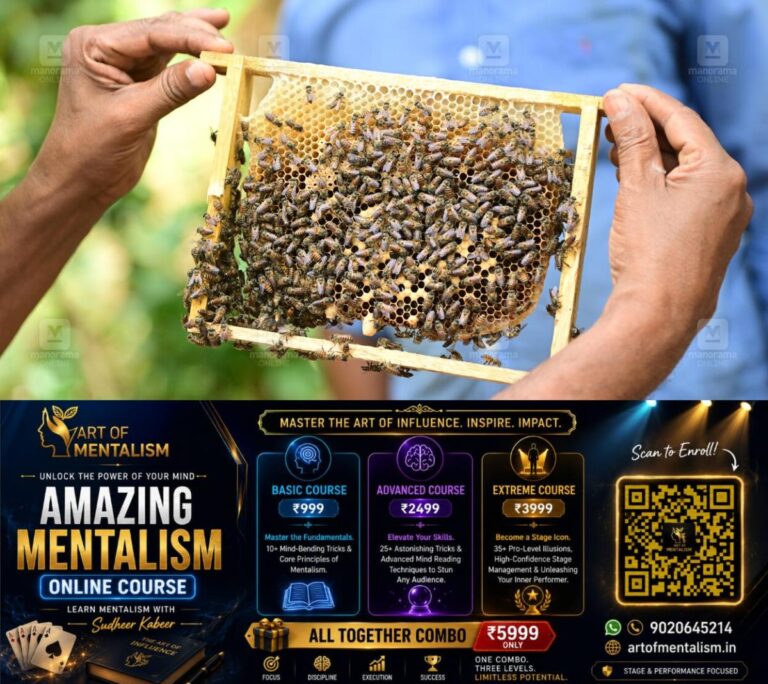 newskerala.net_1787981407_honey-bee-1