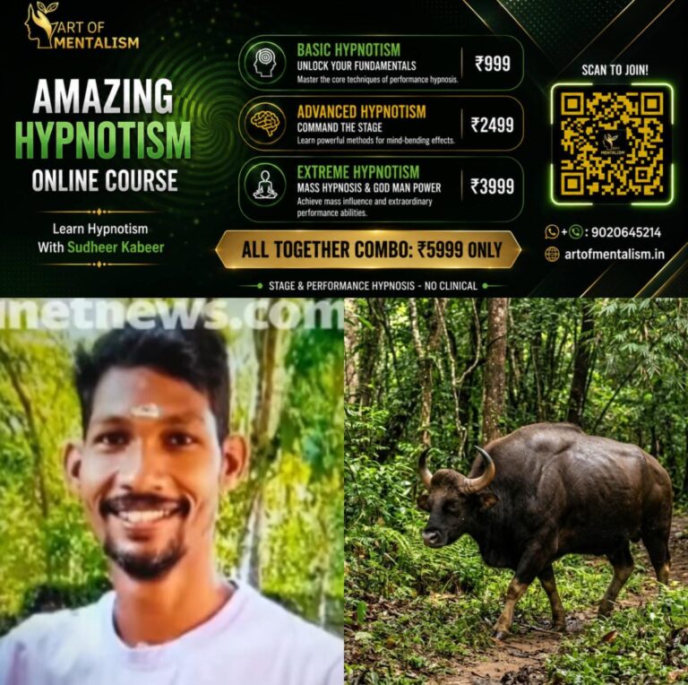 newskerala.net_1788029045_w-1280h-720format-jpgimgid-01m17cav44y3rwwjr2f28am2ejimgname-kozhikode-vilangad-bison-attack-178