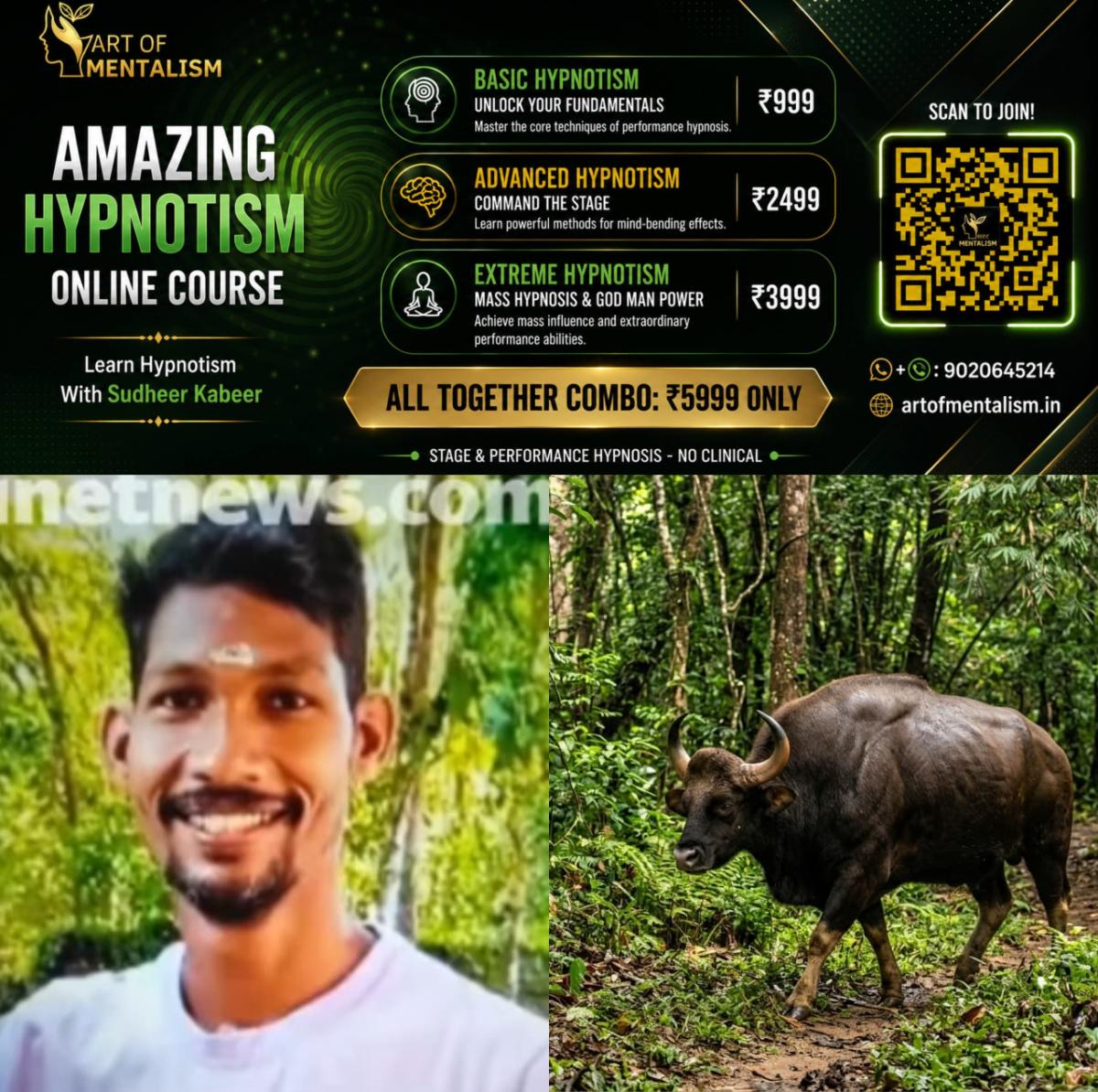 newskerala.net_1788029045_w-1280h-720format-jpgimgid-01m17cav44y3rwwjr2f28am2ejimgname-kozhikode-vilangad-bison-attack-178