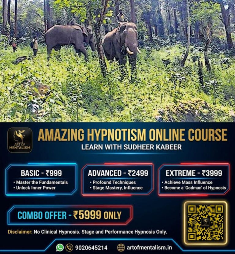 newskerala.net_1788074164_wayand-elephant