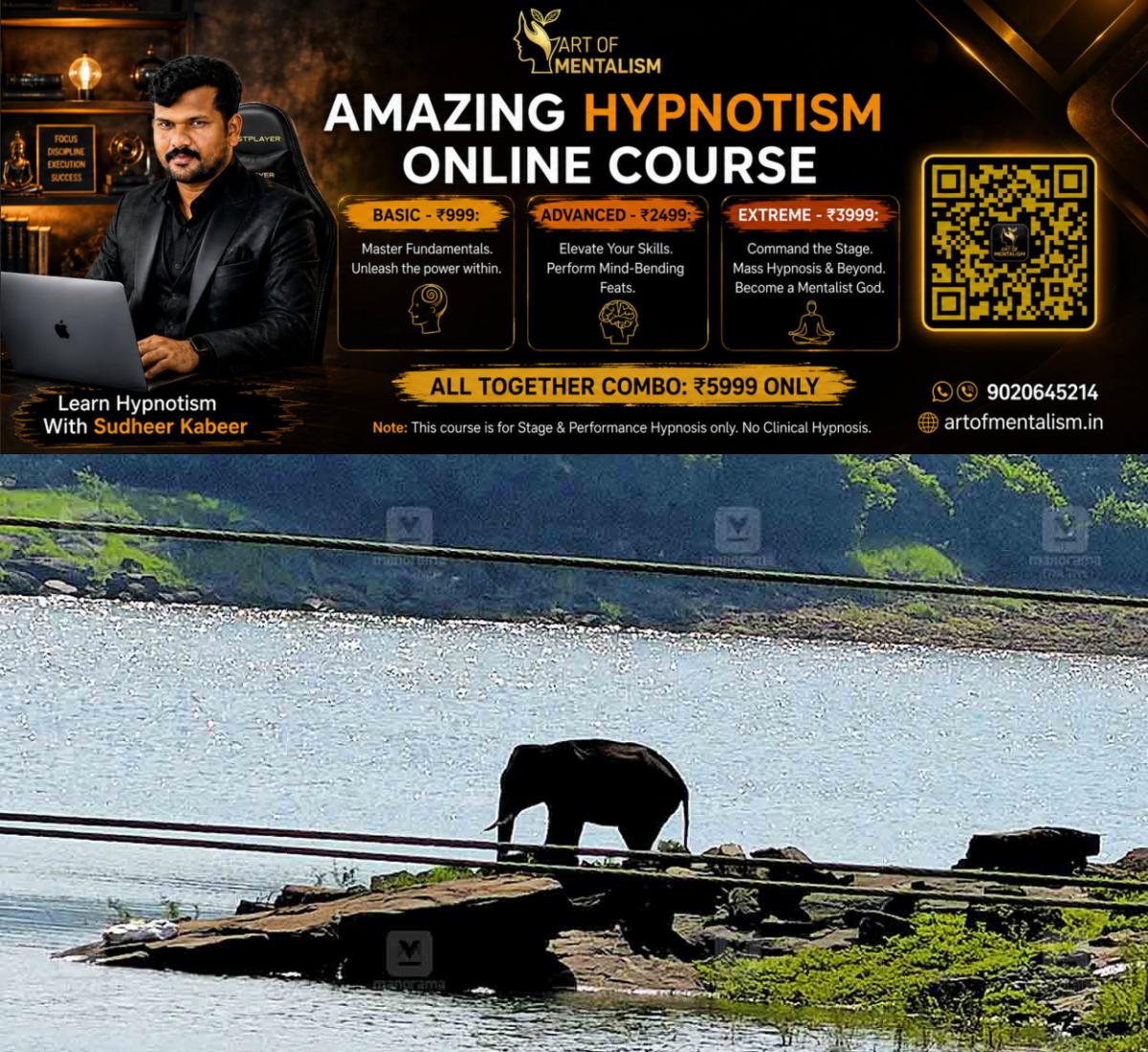 newskerala.net_1788157267_malampuzha-dam-wild-elephant