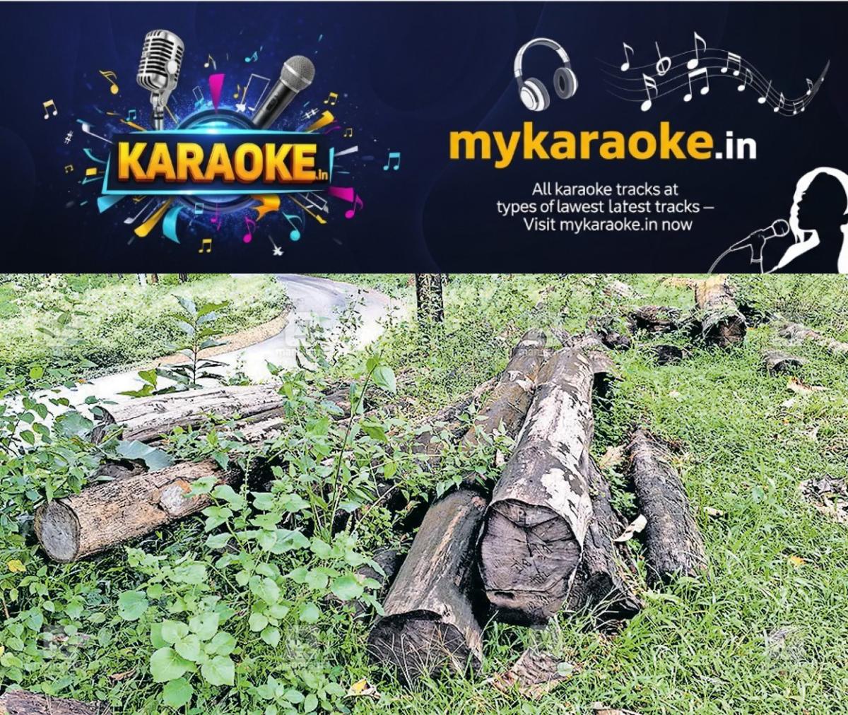 newskerala.net_1788159725_timber-waste-1
