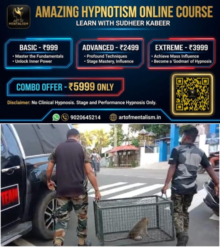 newskerala.net_1788191764_w-1280h-720format-jpgimgid-01m1c84zk9kmrf1tct9qpt9c8kimgname-monkey-1788191342185