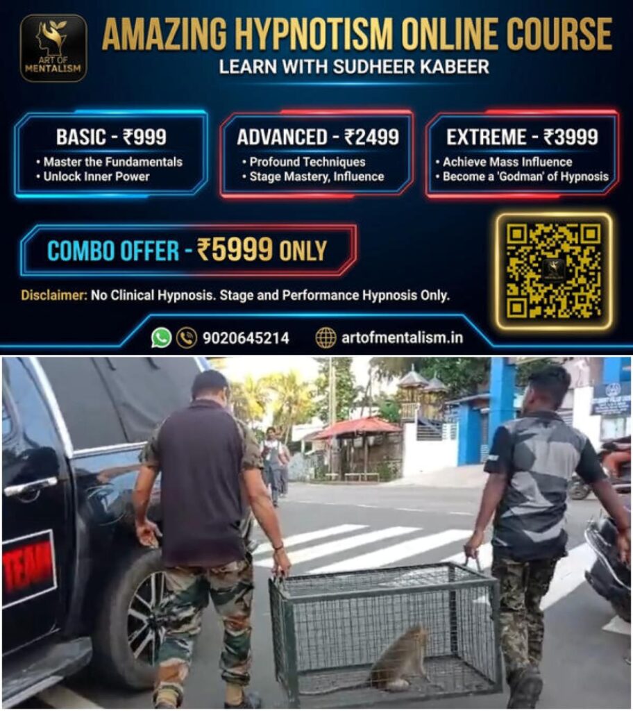 newskerala.net_1788191764_w-1280h-720format-jpgimgid-01m1c84zk9kmrf1tct9qpt9c8kimgname-monkey-1788191342185