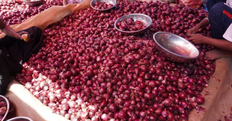 onion-price-main.jpg