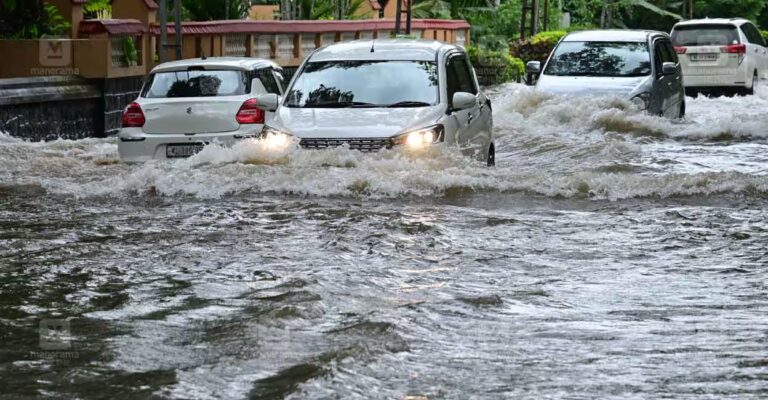 pala-mutholi-rain-flood-04082026.jpg
