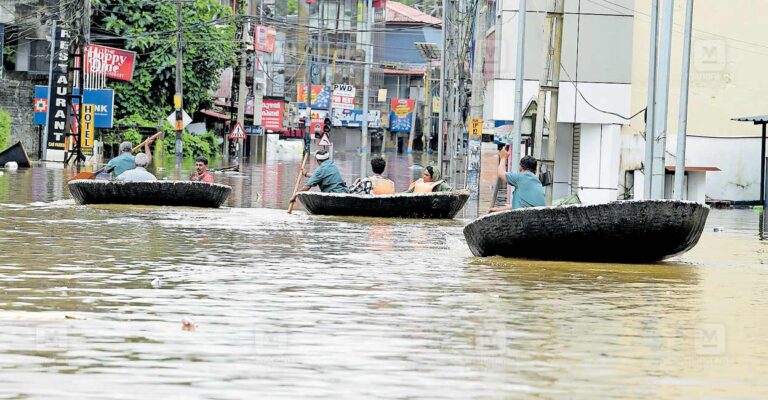 pathanamthitta-rain-05.jpg