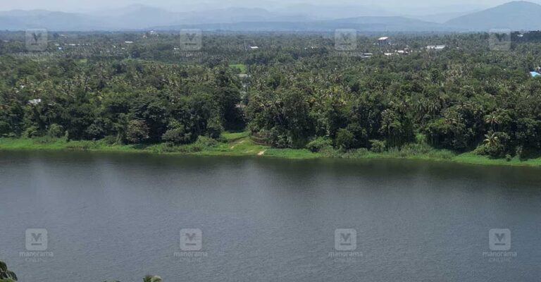 periyar-river.jpg