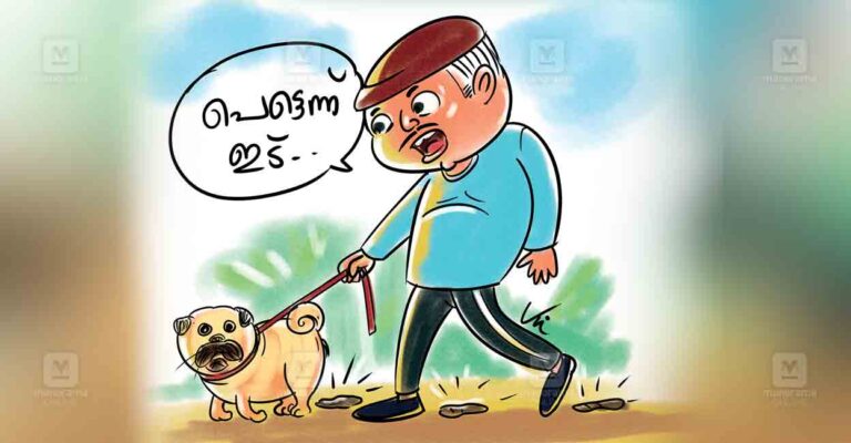 pet-dog-issue.jpg