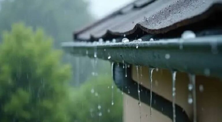 rain-alert.jpg