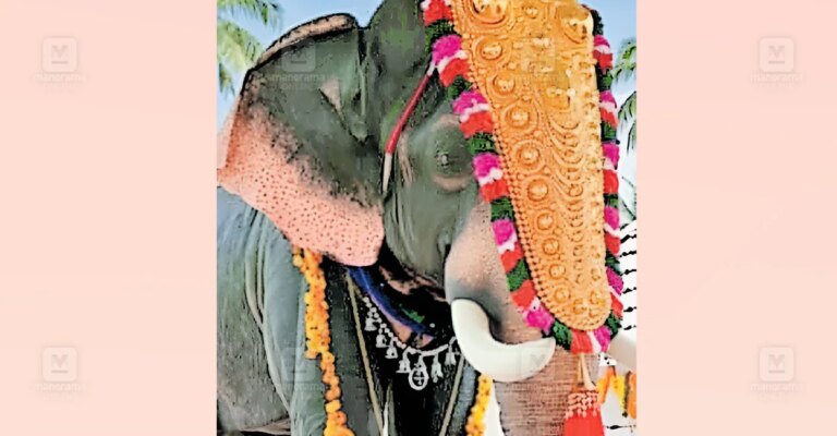 robot-elephant-gurupuram-temple-1.jpg