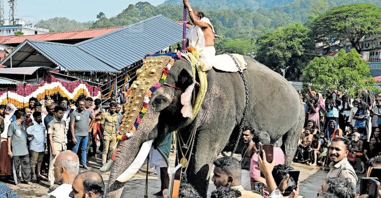 sabarimala-temple-festival-elephant.jpg
