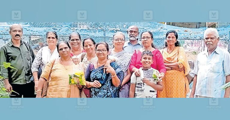 senior-citizens-whatsapp-group-1.jpg
