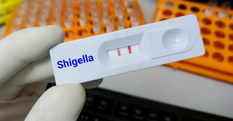 shigella-representative-image-09062026.jpg