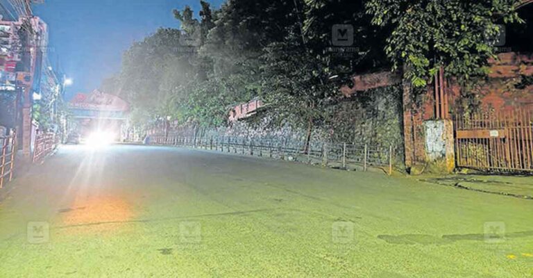 thattukada1.jpg