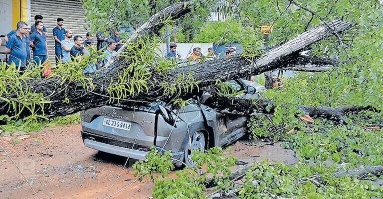 tree-car-accident-changanassery-1.jpg