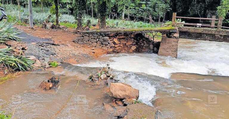 vazhoor-bridge-collapse.jpg