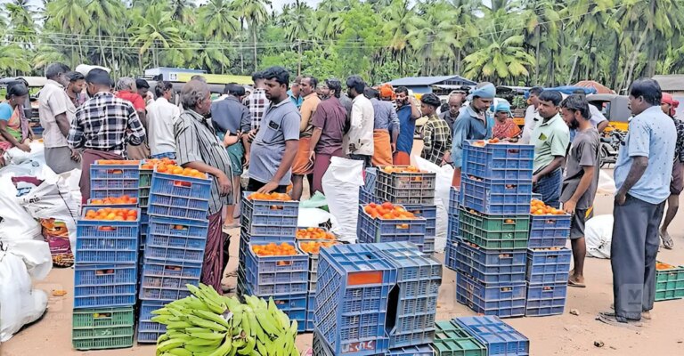 velanthavalam-market-1.jpg
