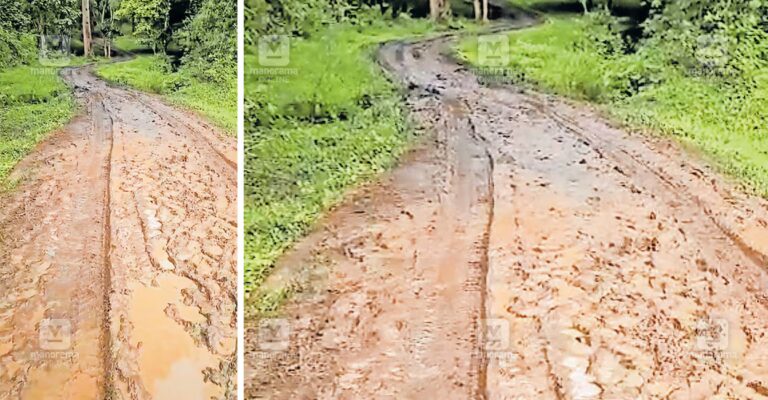 vettathur-road-1.jpg
