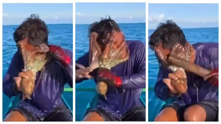 w-1280h-720format-jpgimgid-01m04ptgx8a76tj9q6s4me6e5bimgname-octopus-clings-to-fisherman-s-face.jpeg