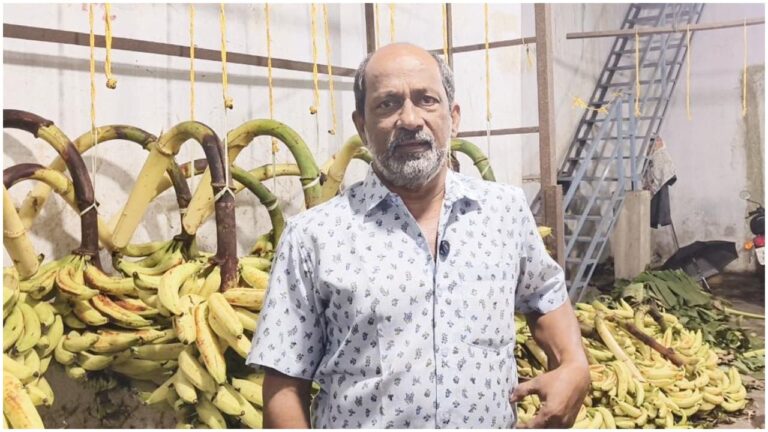 w-1280h-720format-jpgimgid-01m07zn9t82rfeetz2ye6k34feimgname-kunnamkulam-mathews-banana-sale-178.jpeg
