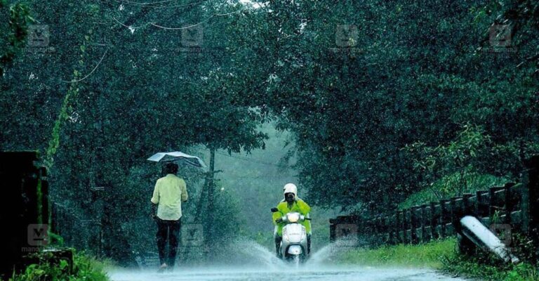 wayanad.jpg
