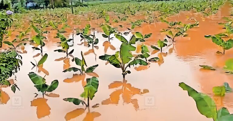 wayanad-rain-damage-1.jpg