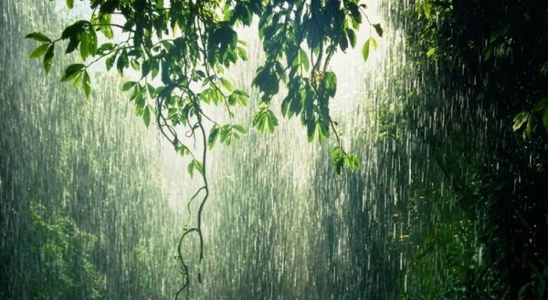 1789612699_Kerala-rain-alert.jpg