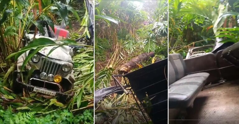 accident-idukki.jpg