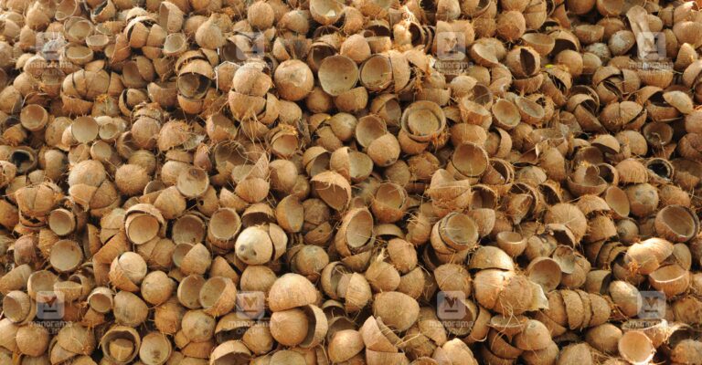 coconut-shell-1.jpg