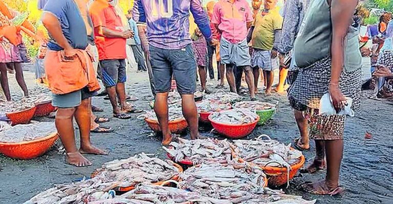 fish-tvm.jpg