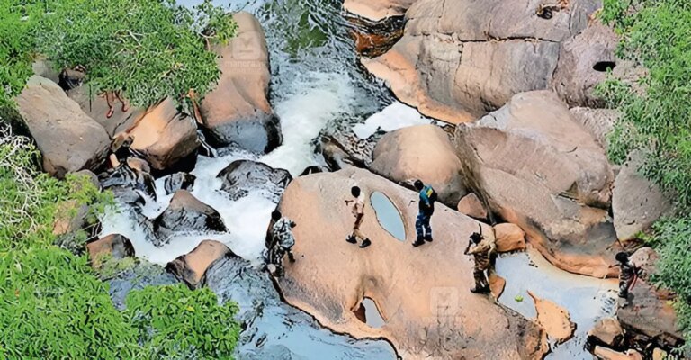 gudalur-tiger-search-1.jpg