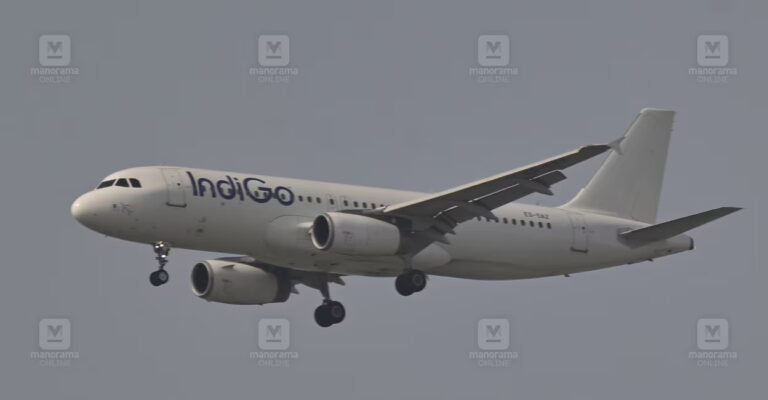 indigo-flight.jpg