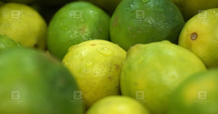 lemon-1.jpg