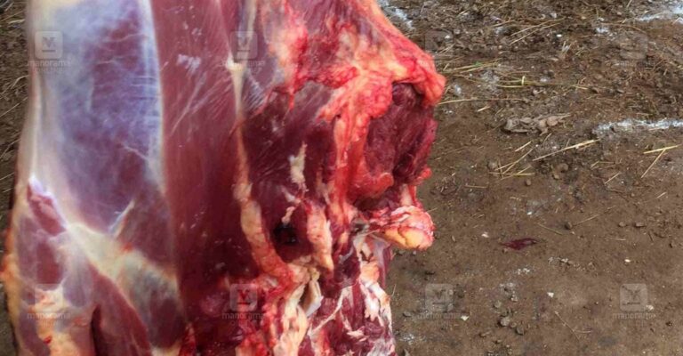 meat-local-news.jpg