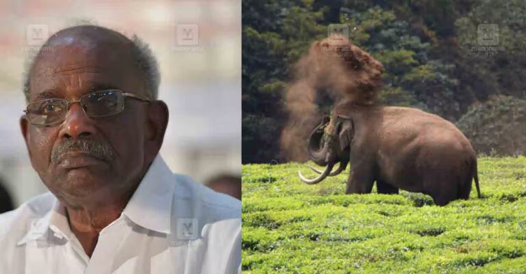 mm-mani-wild-animal-attack.jpg