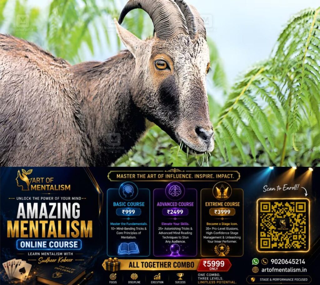 newskerala.net_1788234725_nilgiri-tahr-1