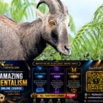newskerala.net_1788234725_nilgiri-tahr-1
