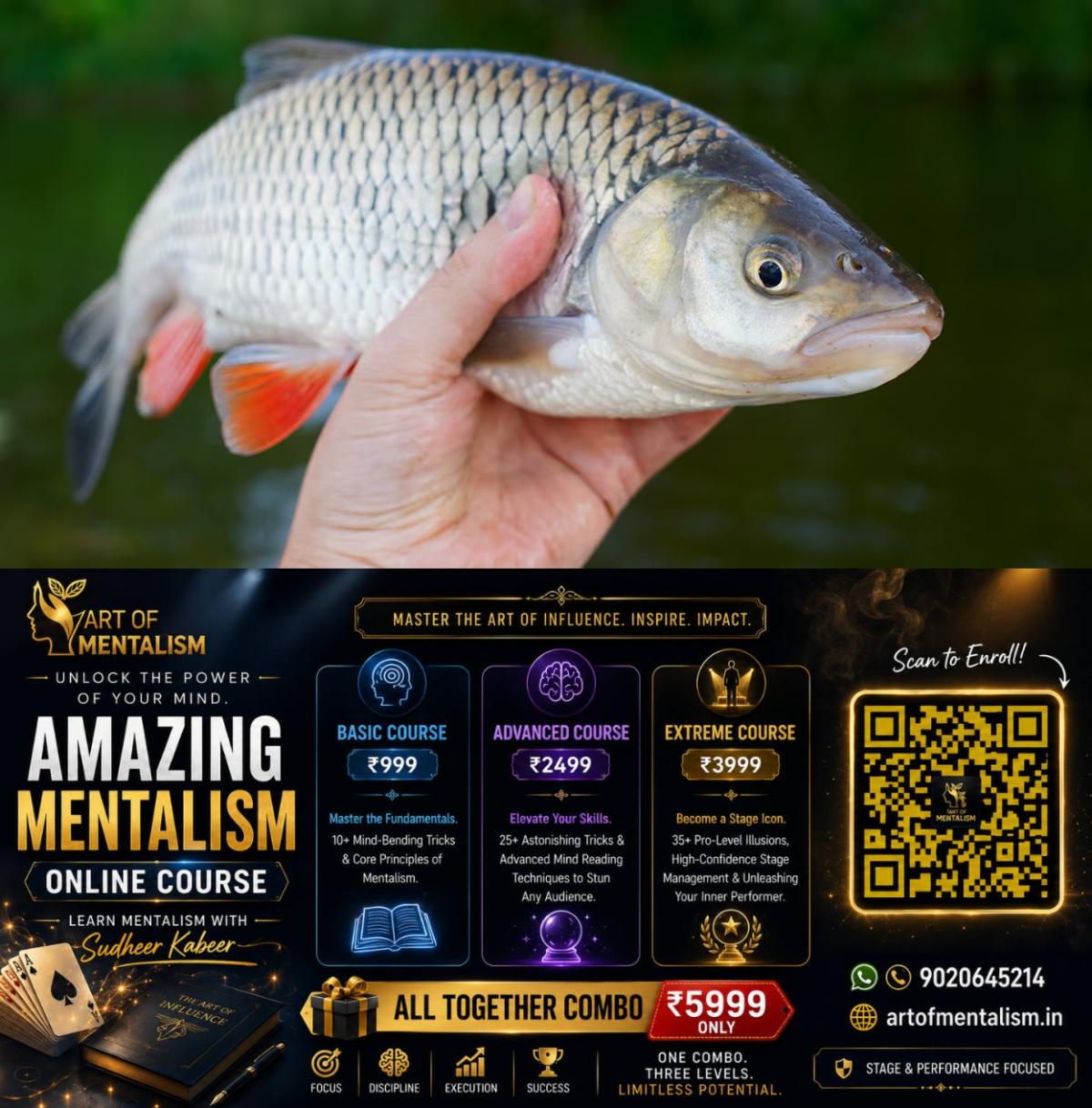 newskerala.net_1788309244_fish