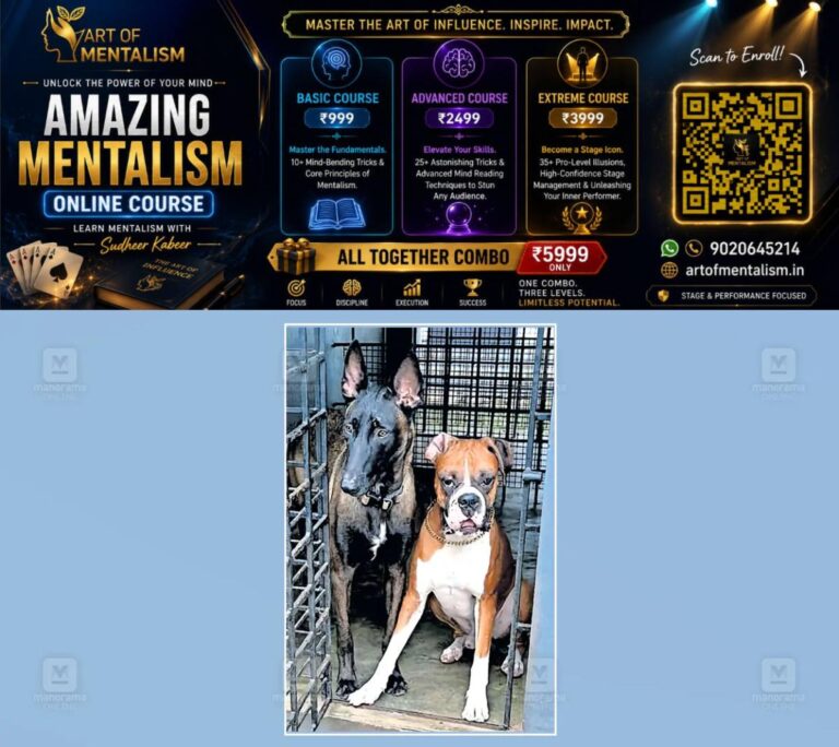 newskerala.net_1788403206_dog-pluto-2