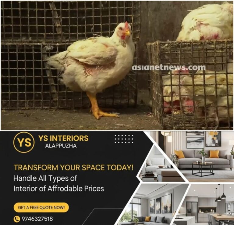 newskerala.net_1788406445_w-1280h-720format-jpgimgid-01m1jn8w57ea8c3d8pja7rp5rnimgname-chicken-shop-1788406427815