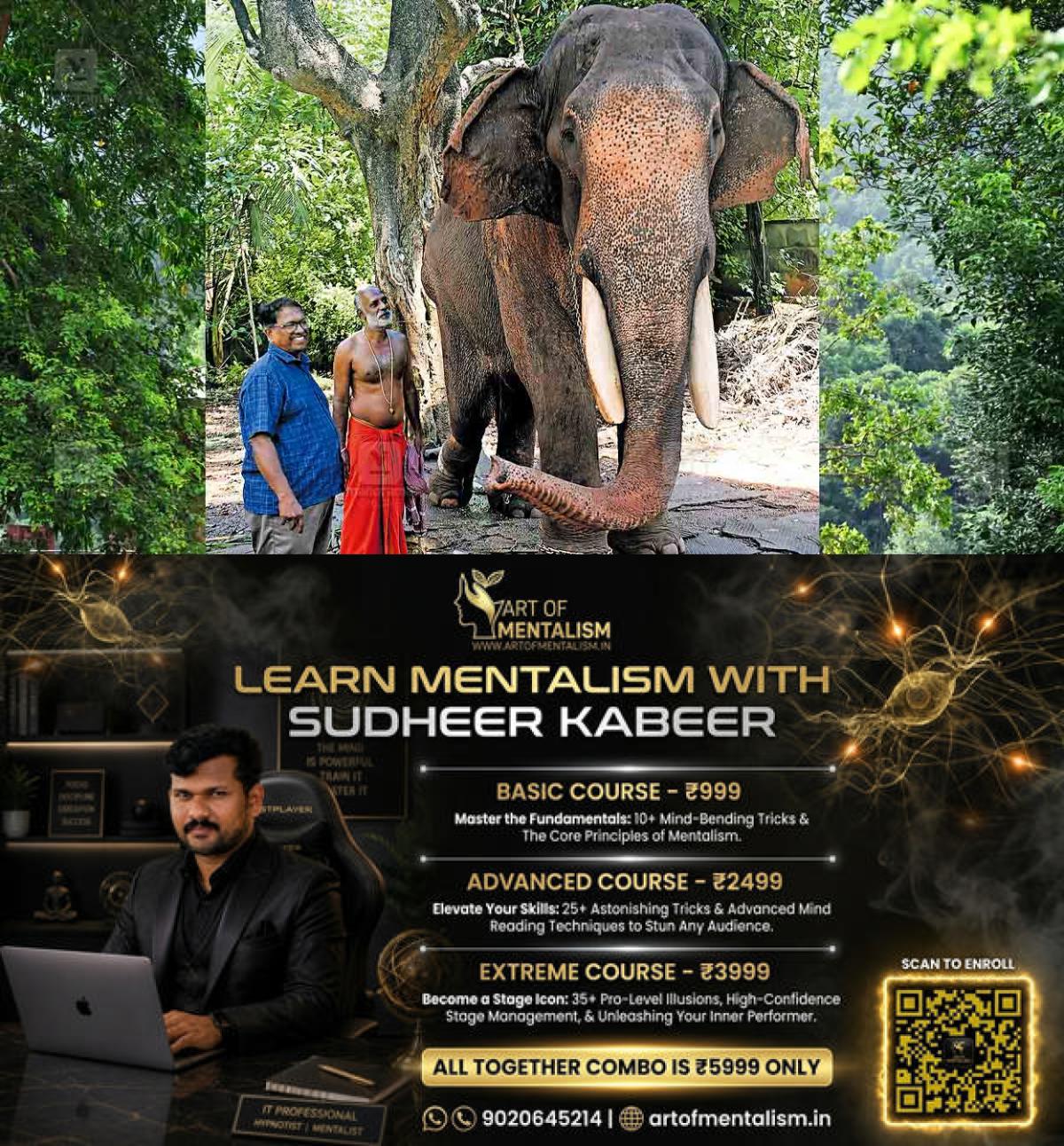 newskerala.net_1788413646_thrissur-elephant-recovery