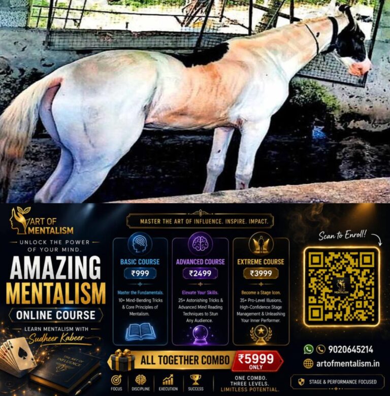 newskerala.net_1788733685_horse