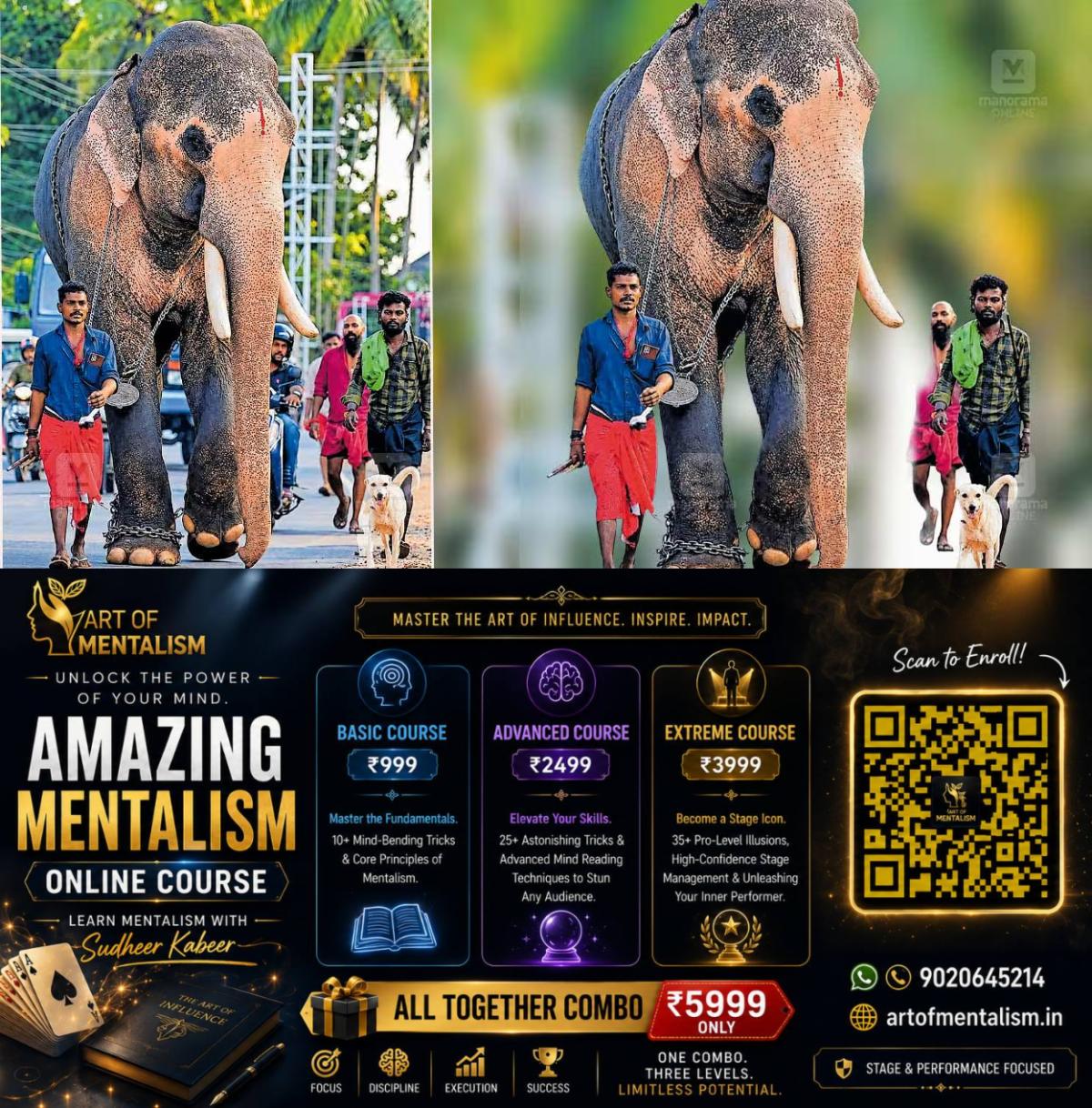 newskerala.net_1789015925_ganesh-kuku-friendship-elephant-dog